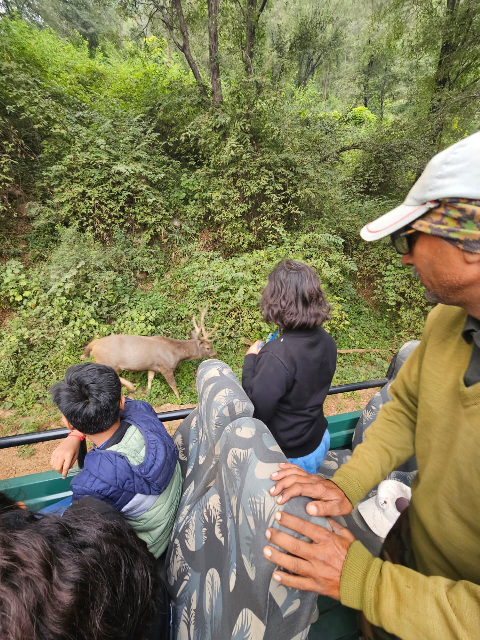 Celestial Sojourn: Exploring the Wonders of Astroport!